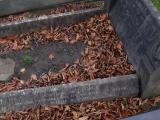 image of grave number 232033